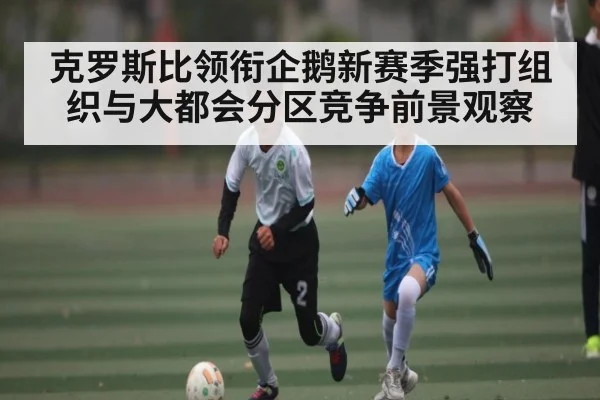 克罗斯比领衔企鹅新赛季强打组织与大都会分区竞争前景观察